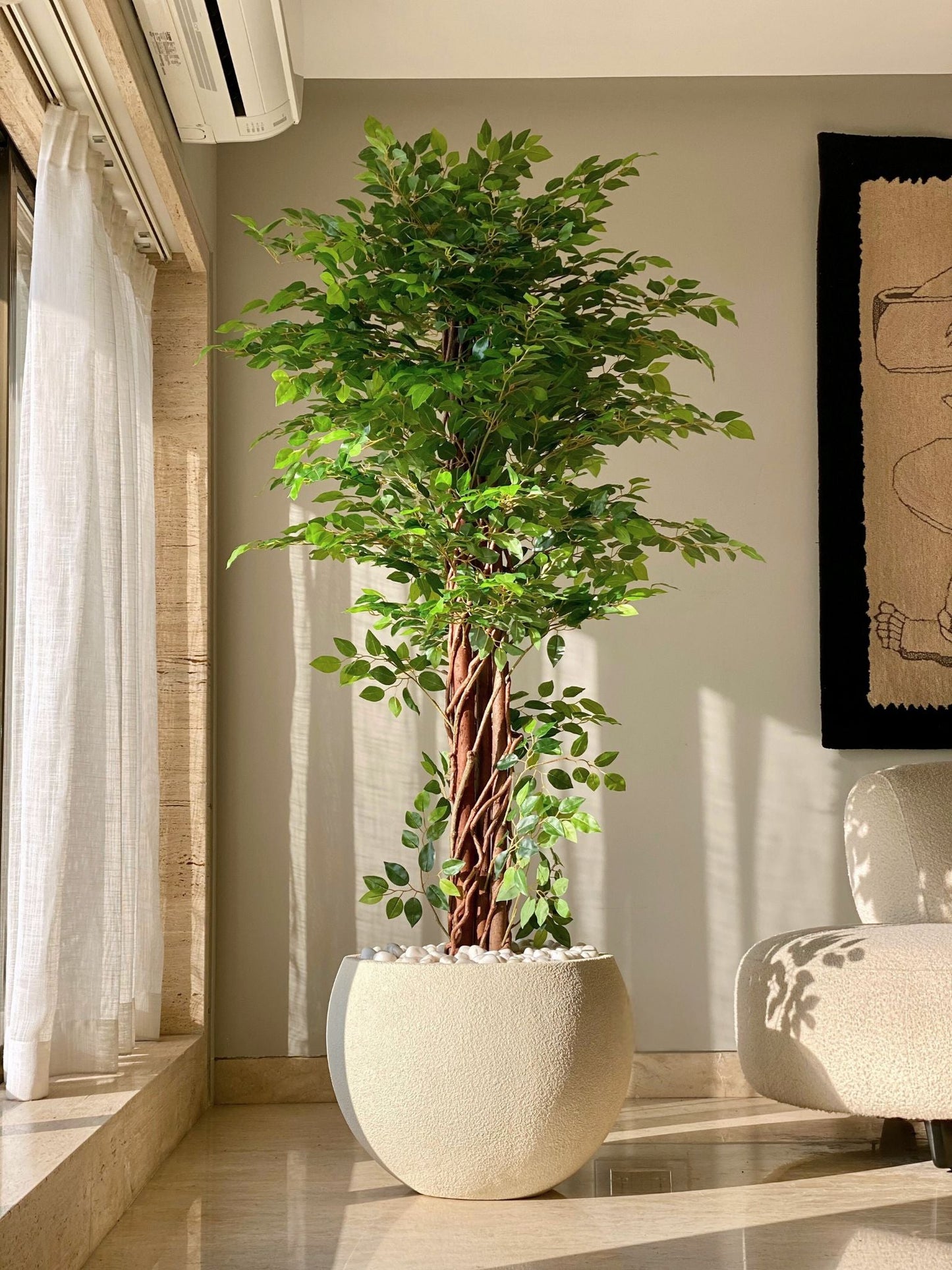 Artificial Ficus Majora Plant - 6 Feet