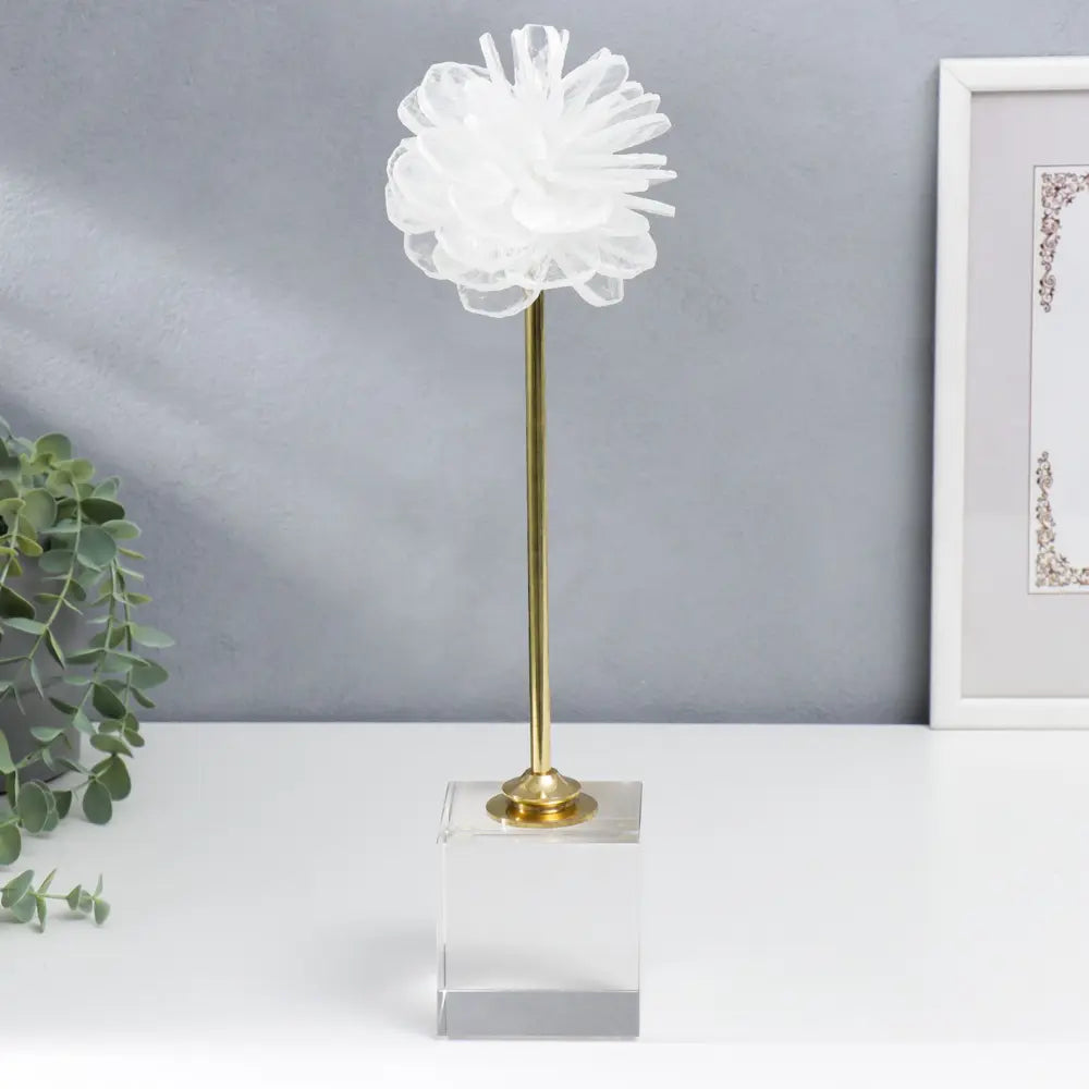 White Rose Artefact #1