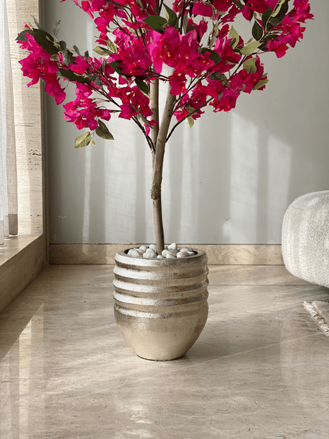 Eden Allura Planters: Medium