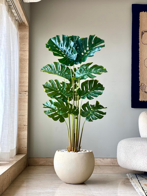 Artificial Evergreen Monstera Plant - 5 Feet
