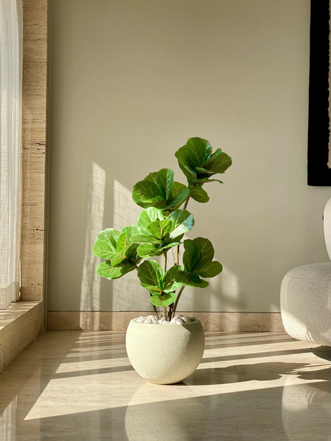 Artificial Fiddle Fig Plant - 3 Feet