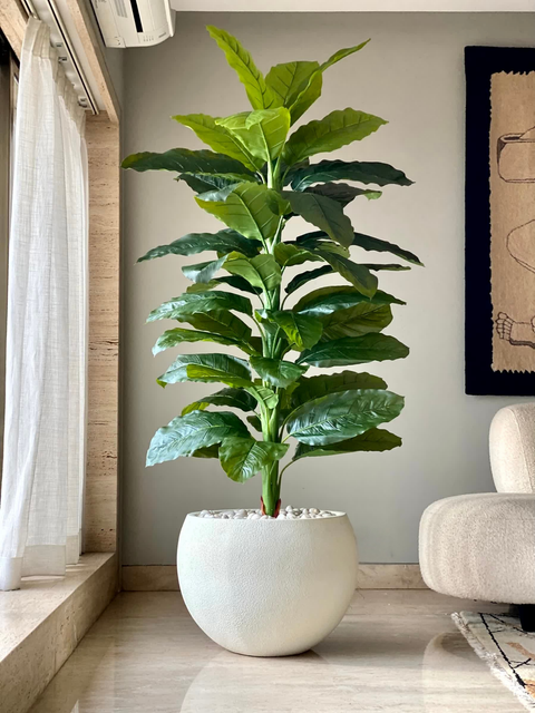 Artificial Bush Pothos Plant  - 6 Feet