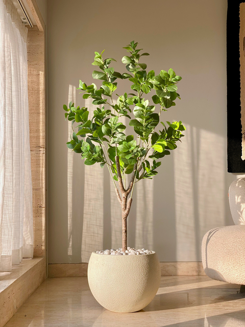 Artificial Dense Peperomia Plant - 5 Feet