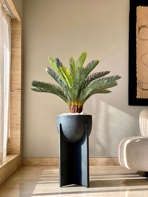 Artificial Cycas Plant - 2.5 Feet