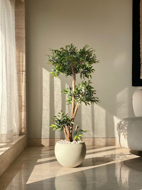 Artificial Ruscus Lush Plant - 4 Feet