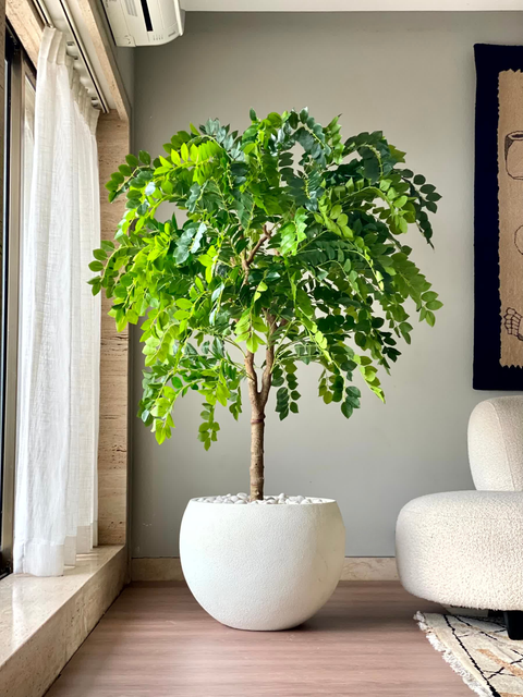 Artificial Evergreen Plant - 5 Feet