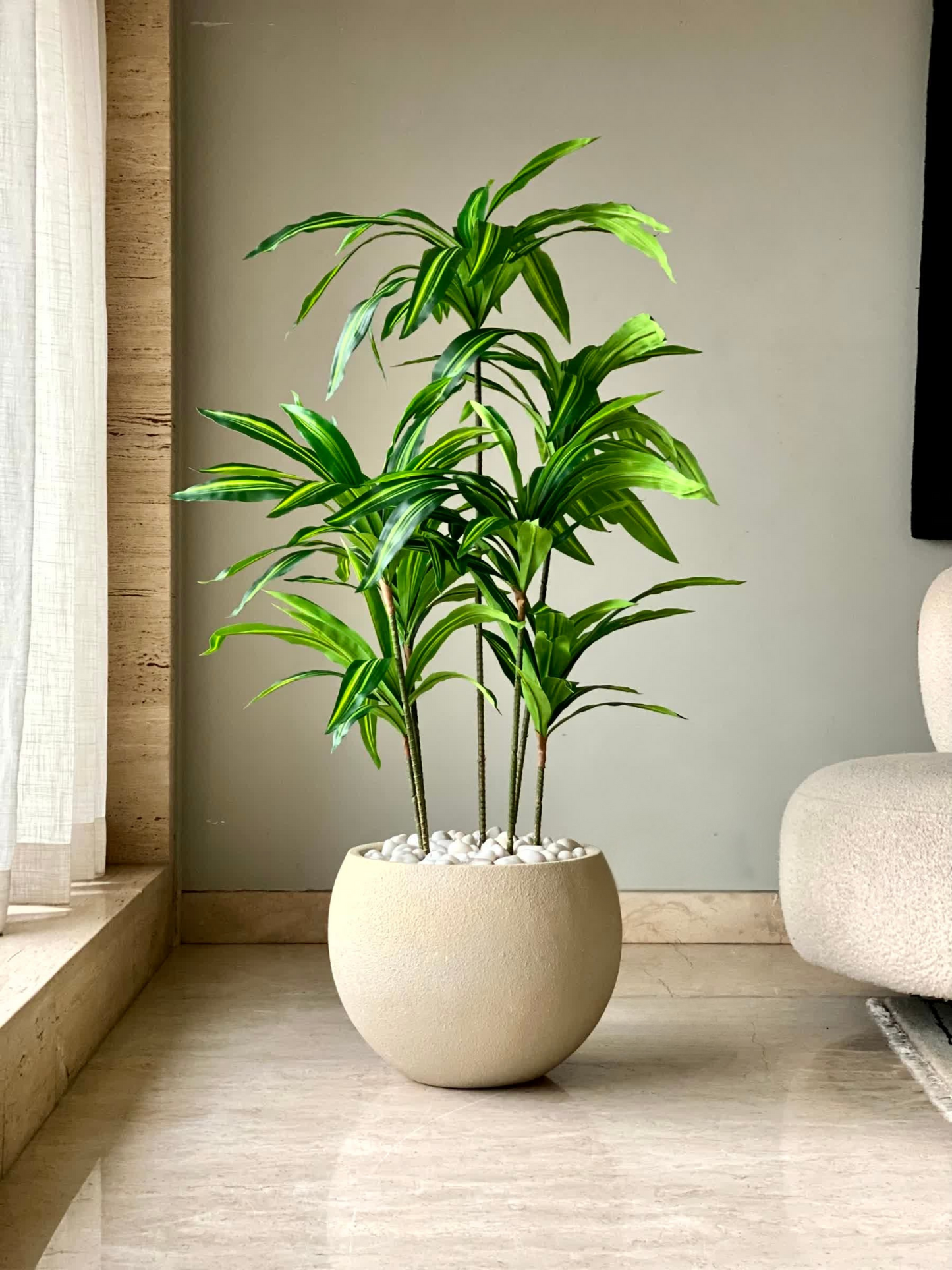 Artificial Botanic Dracaena Plant -  4.5 Feet