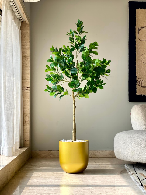 Artificial Serene Peperomia Plant  - 5 Feet