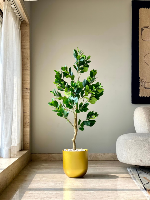 Artificial Lush Peperomia Plant - 4 Feet
