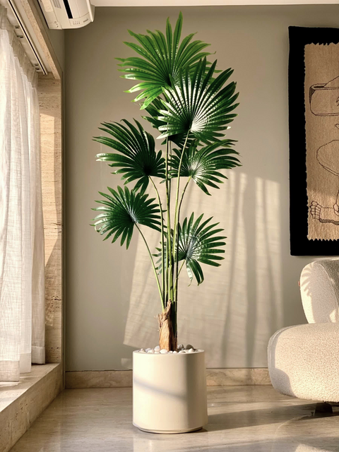 Artificial Palmetto Plant - 6 Feet