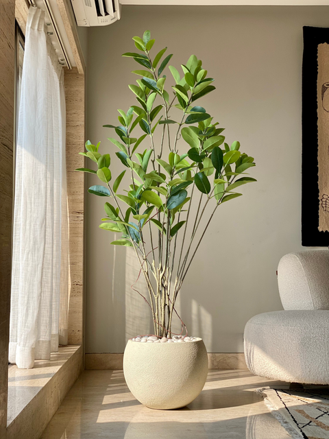 Artificial Magnolia Leaf Plant - 5.5 Feet