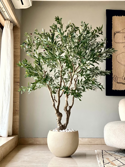 Artificial Olive Allure Plant -  6 Feet