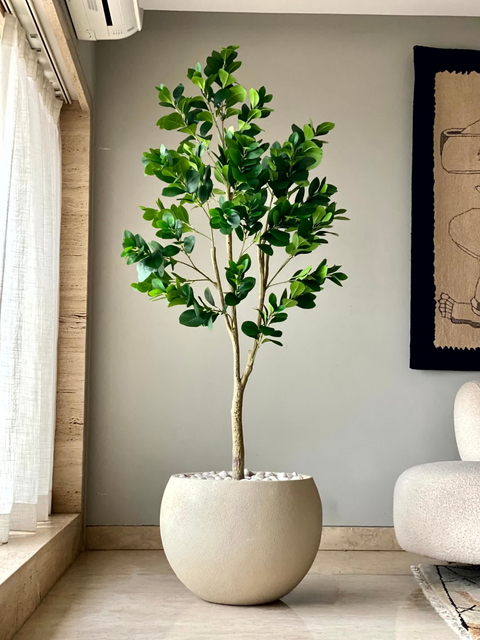 Artificial Lush Peperomia Plant  - 6 Feet