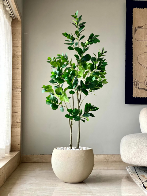 Artificial Wild Peperomia Plant  - 5 Feet