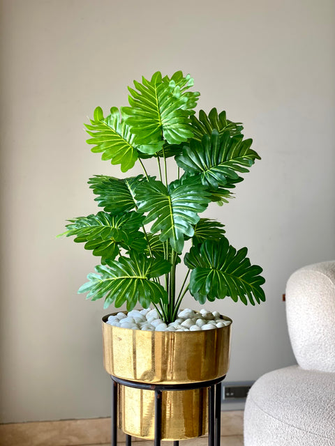 Artificial Serene Philodendron Plant - 2 Feet