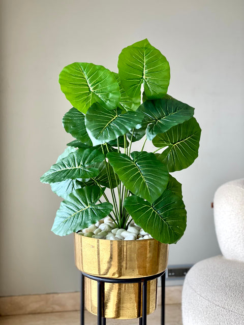 Artificial Midas Pothos Plant - 2 Feet