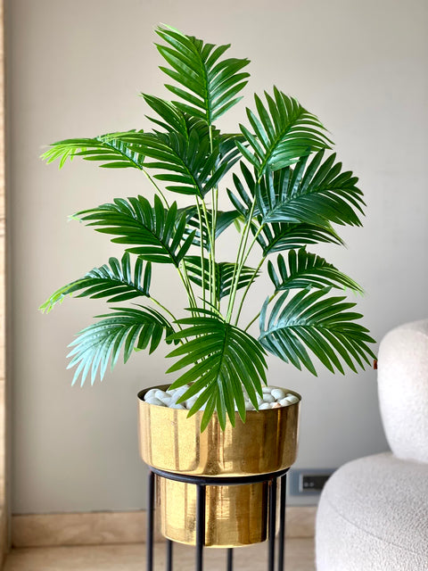Artificial Tropical Areca Plant - 2 Feet