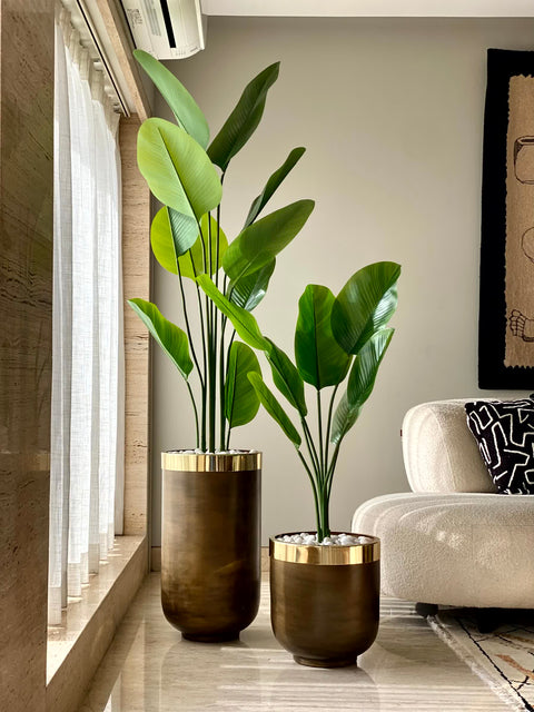 Minsk Planters - Antique Brown