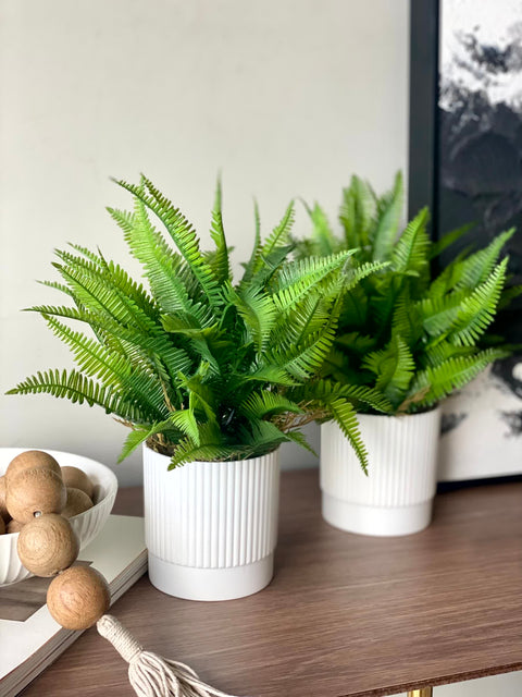 Artificial Lush Fern Plant - Medium (Set of 2)