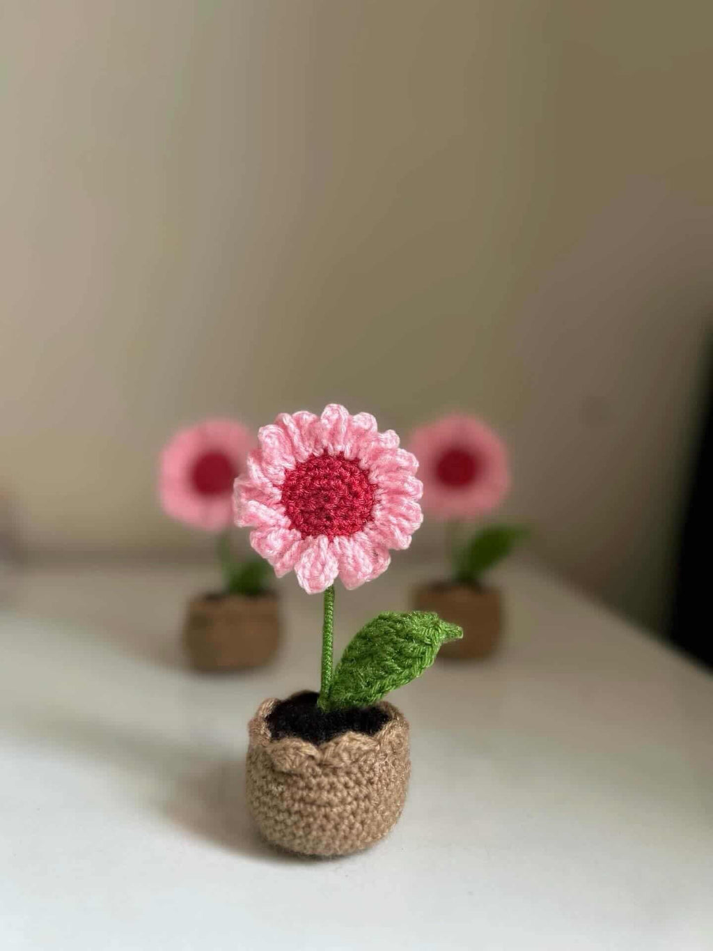 Jaloka