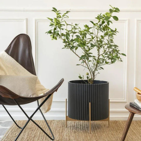 Midori Planter With Stand