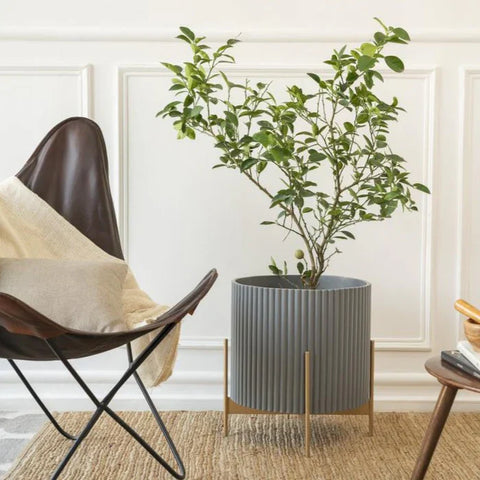 Midori Planter With Stand