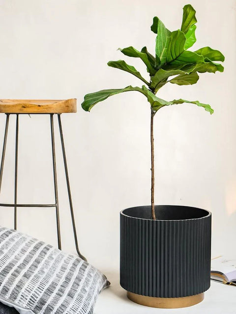 Midori Planter With Base
