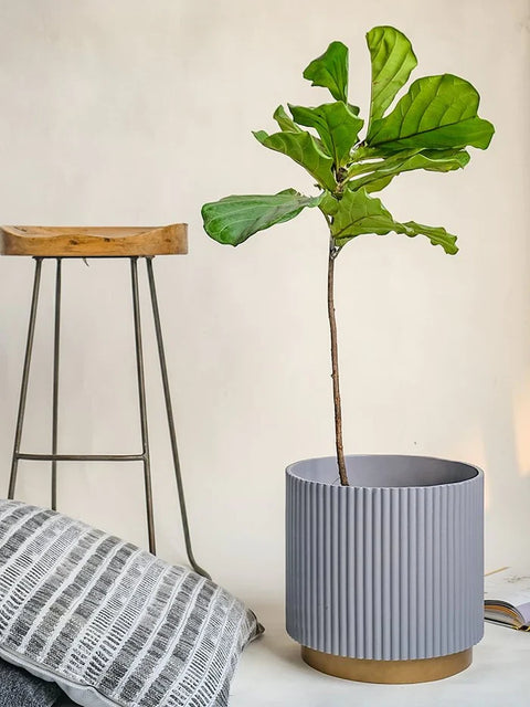 Midori Planter With Base