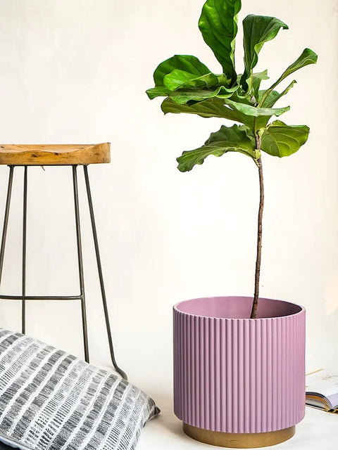 Midori Planter With Base