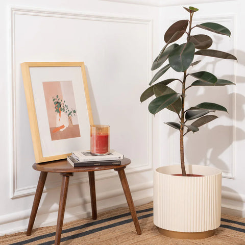 Midori Planter With Base