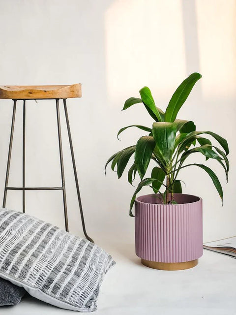 Midori Planter With Base