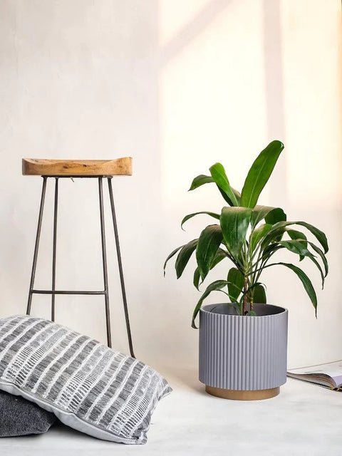 Midori Planter With Base