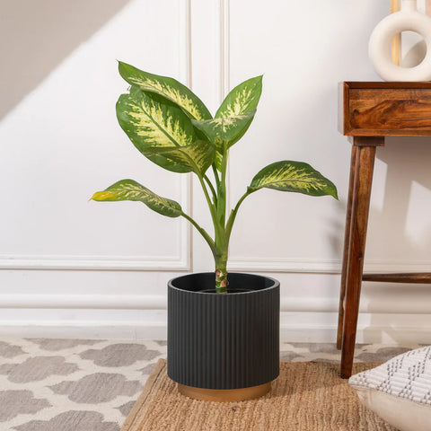Midori Planter With Base