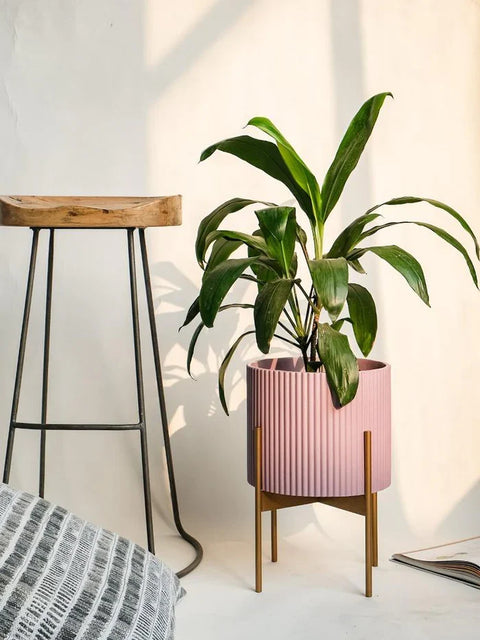 Midori Planter With Stand