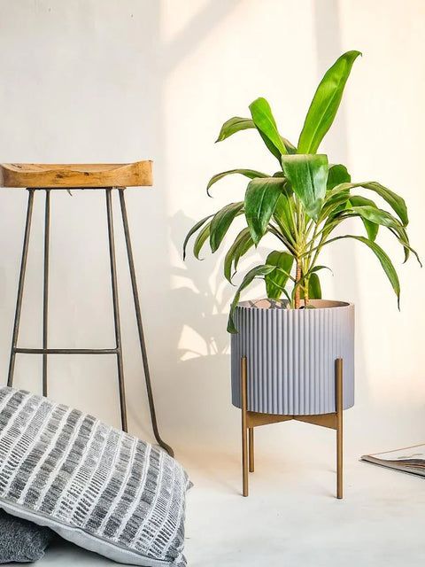 Midori Planter With Stand