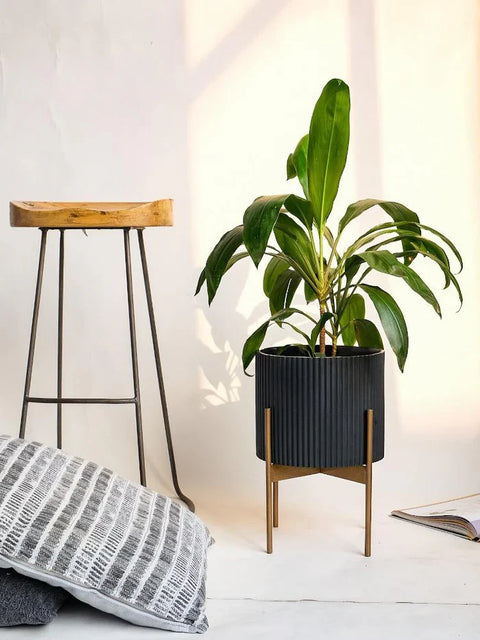 Midori Planter With Stand