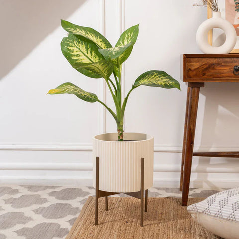 Midori Planter With Stand