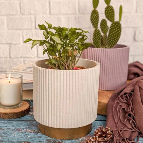 Midori Planter With Base