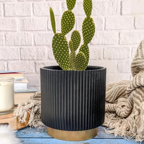 Midori Planter With Base