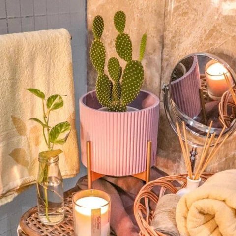 Midori Planter With Stand