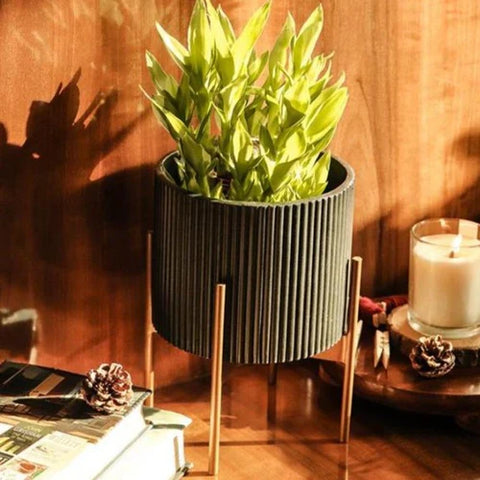 Midori Planter With Stand